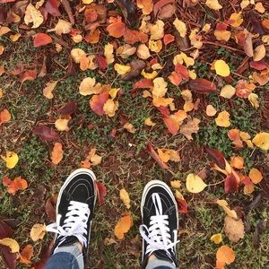 Meet your Posher, Cynthia